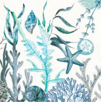 Hovedbilde OCEAN TIDE
