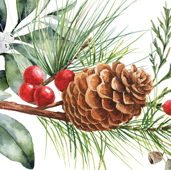 Hovedbilde WHITE SPRUCE