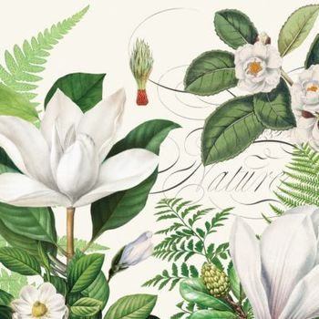 Hovedbilde MAGNOLIA PETALS