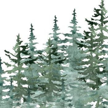 Hovedbilde EVERGREEN (NYHET)